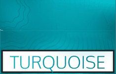 Turquoise carton